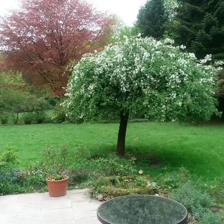 Zimmer Mit Gartenblick