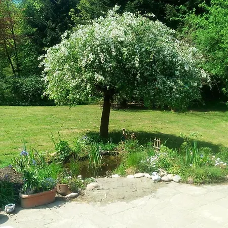 Zimmer Mit Gartenblick * Wiedenborstel
